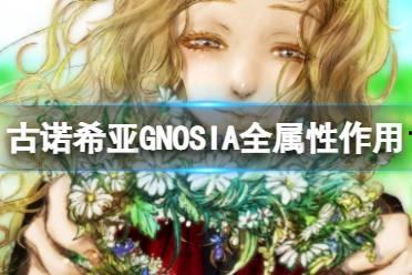 古诺希亚,探寻神秘文明的千年之谜